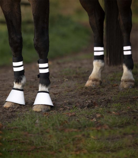 Reflexbandage 4 st Waldhausen