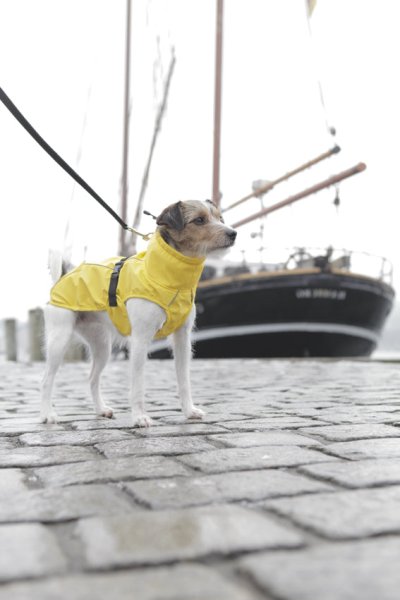 Regntäcke Hund Vimy Trixie