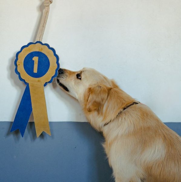 Hästleksak Rosett Hansbo Sport