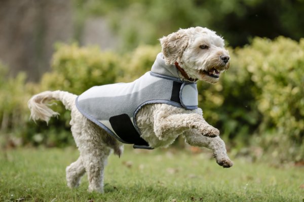 Hundtäcke Newmarket Fleece Horseware