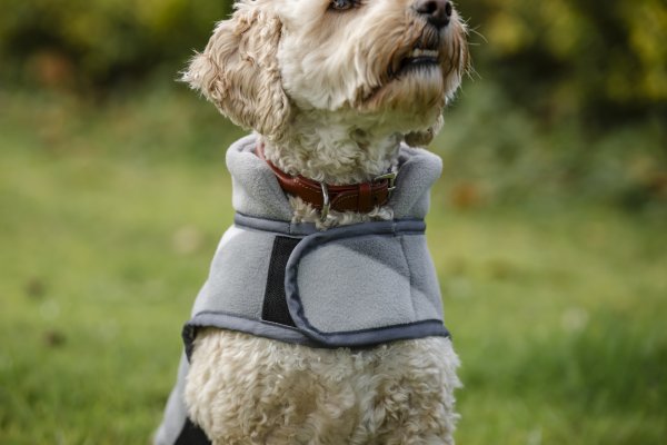 Hundtäcke Newmarket Fleece Horseware