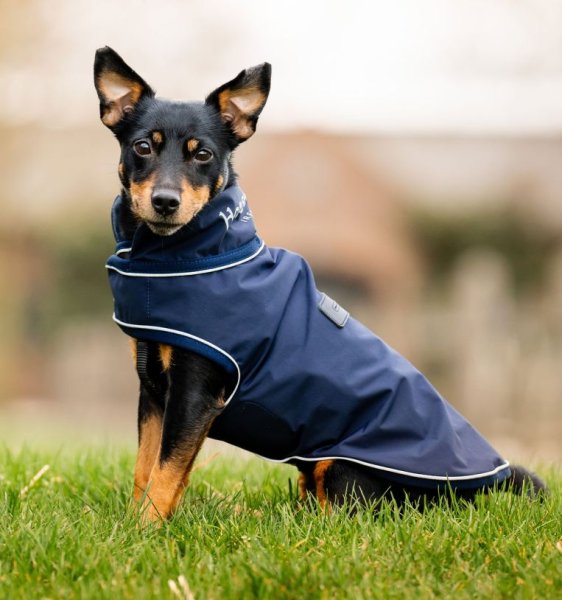 Hundtäcke Signature Dog Rain Coat 0g Horseware