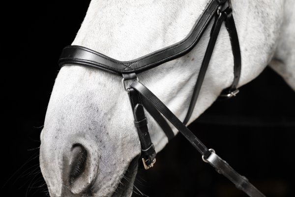 Träns Bettlöst Micklem Horseware