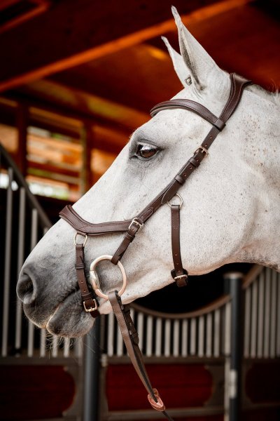 Träns Micklem 2 Competition Horseware