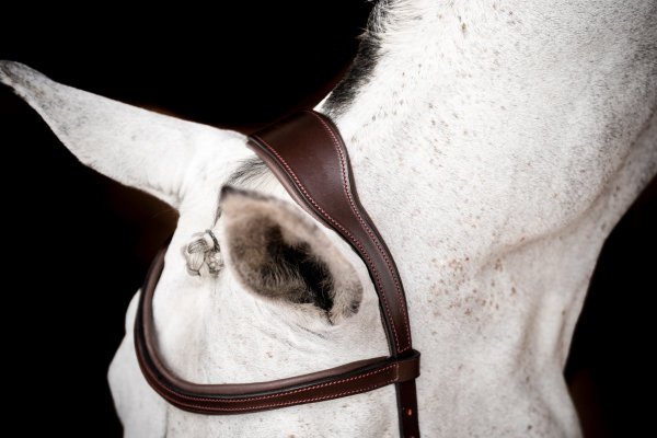 Träns Micklem 2 Competition Horseware