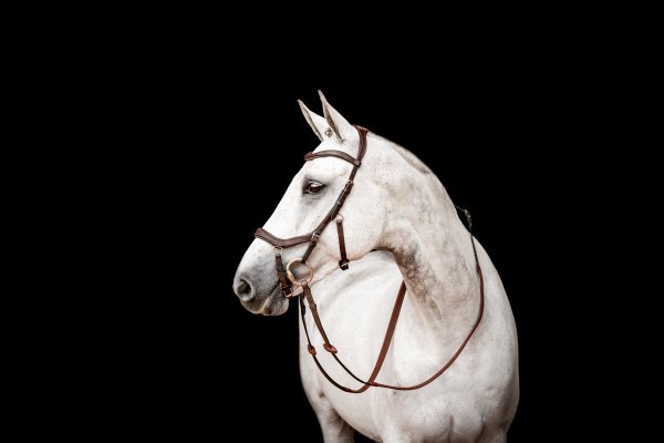 Träns Micklem 2 Competition Horseware