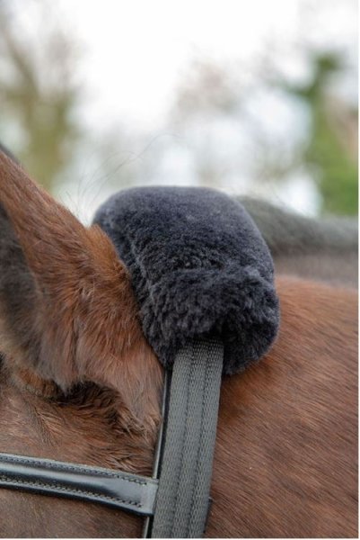 Longeringsadapter Lunging Adapter Shires