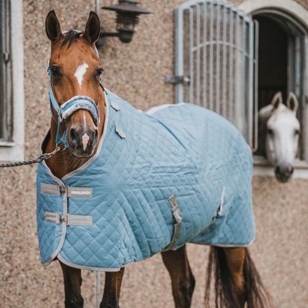 Stalltäcke Plus 150g AW26 Haglunds