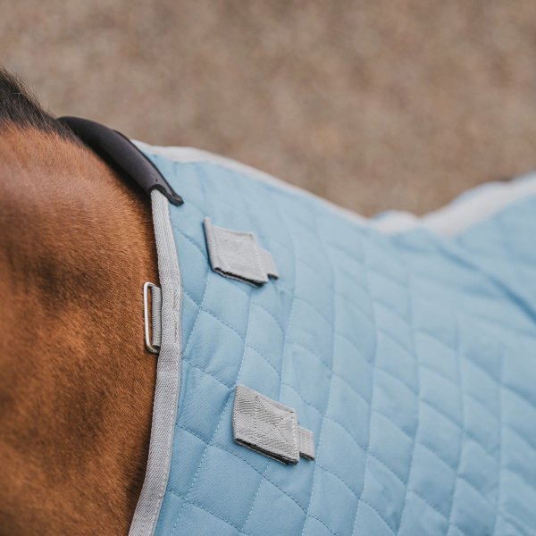 Stalltäcke Plus 250g AW26 Haglunds