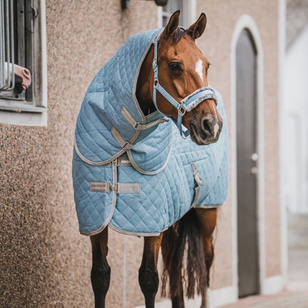 Stalltäcke Plus 50g AW26 Haglunds
