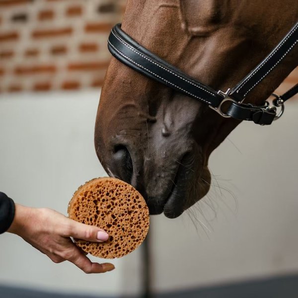 Groomingsvamp rund Borstiq