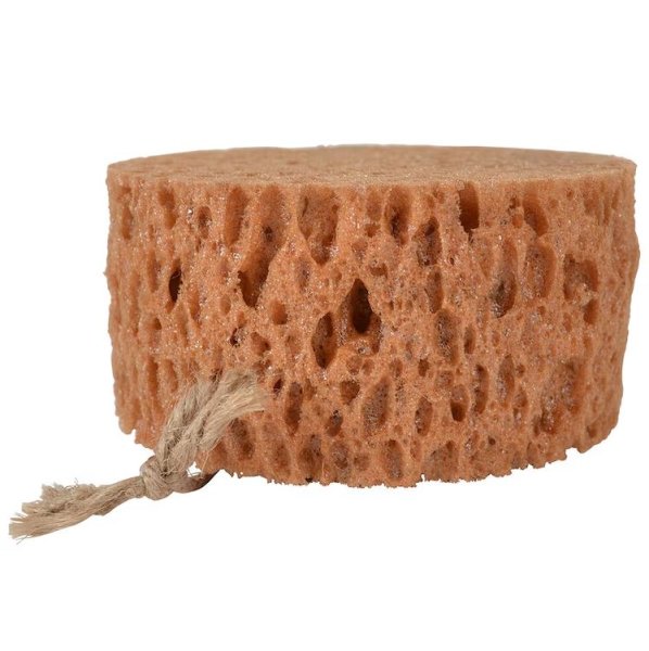 Groomingsvamp rund Borstiq