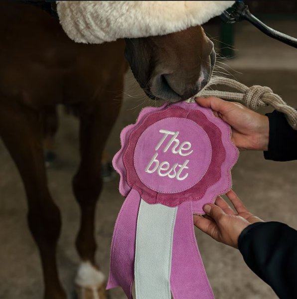 Hästleksak Prisrosett Hansbo Sport