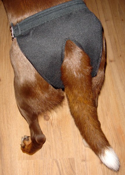 Tikskydd Justerbart Dogman