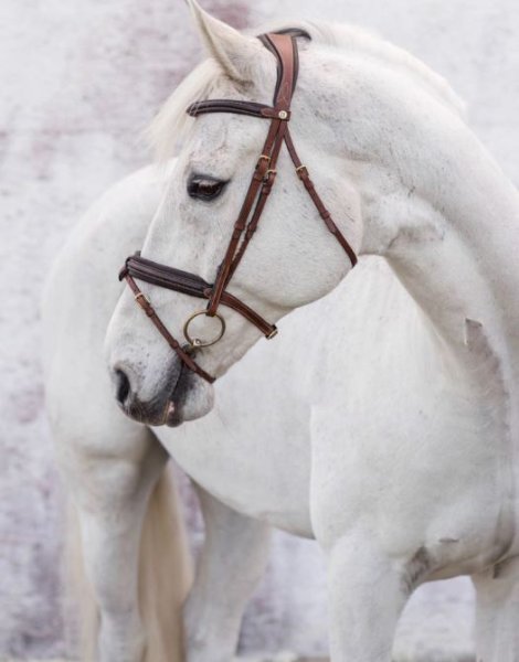 Träns London Jacson