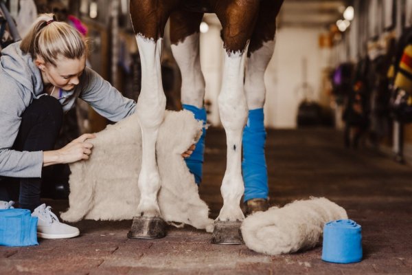 Ullpaddar Village Wool care