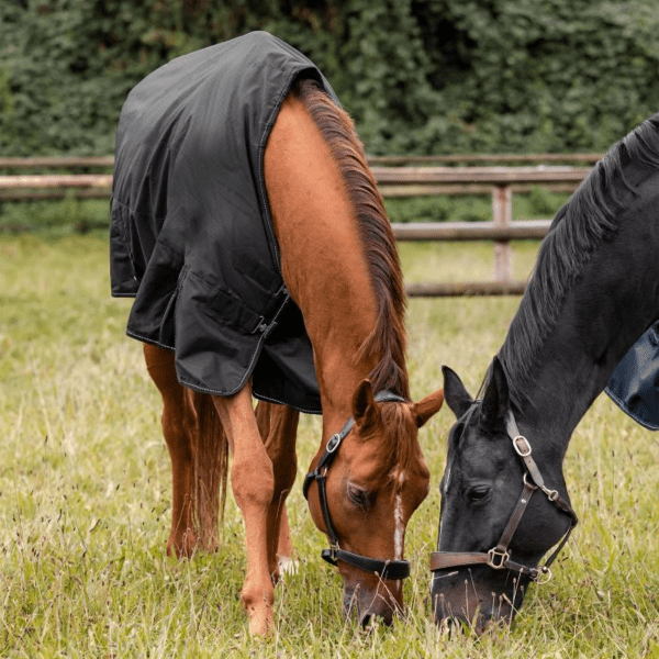Regntäcke Nordic Turnout Rug Waldhausen