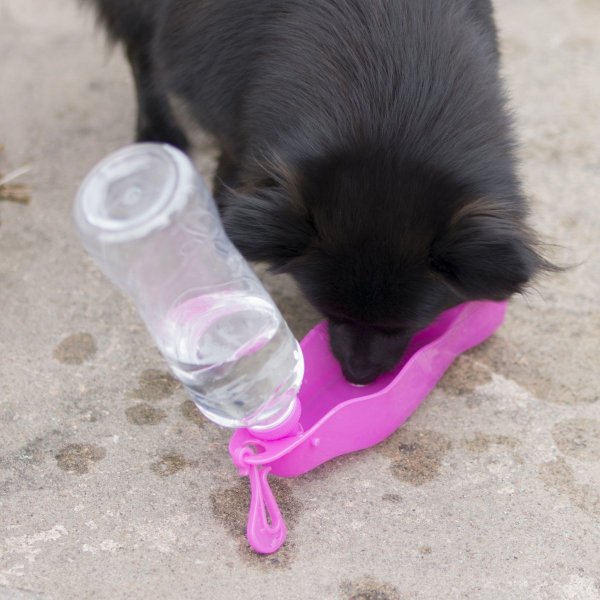 Vattenflaska/Vattenskål Mille Dogman