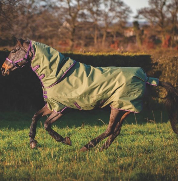 Vintertäcke Amigo Hero Plus 200 g Horseware