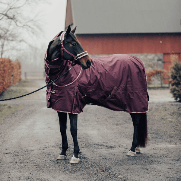 Vintertäcke-häst-rött