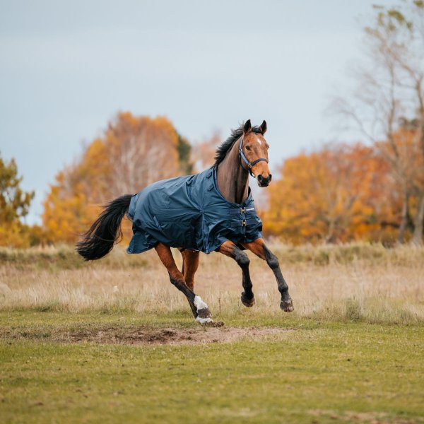 Vintertäcke 300g New Basic 2.0 Haglunds