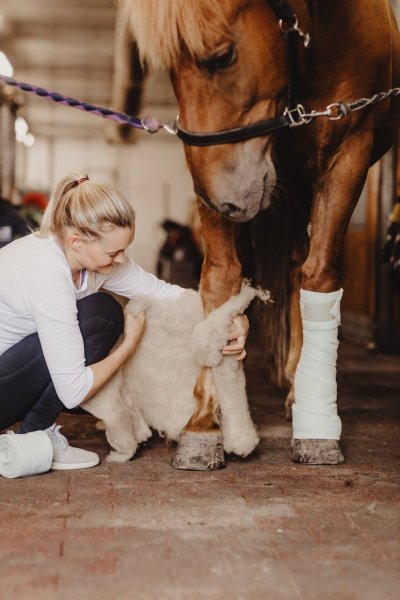 Ullpaddar Village Wool care